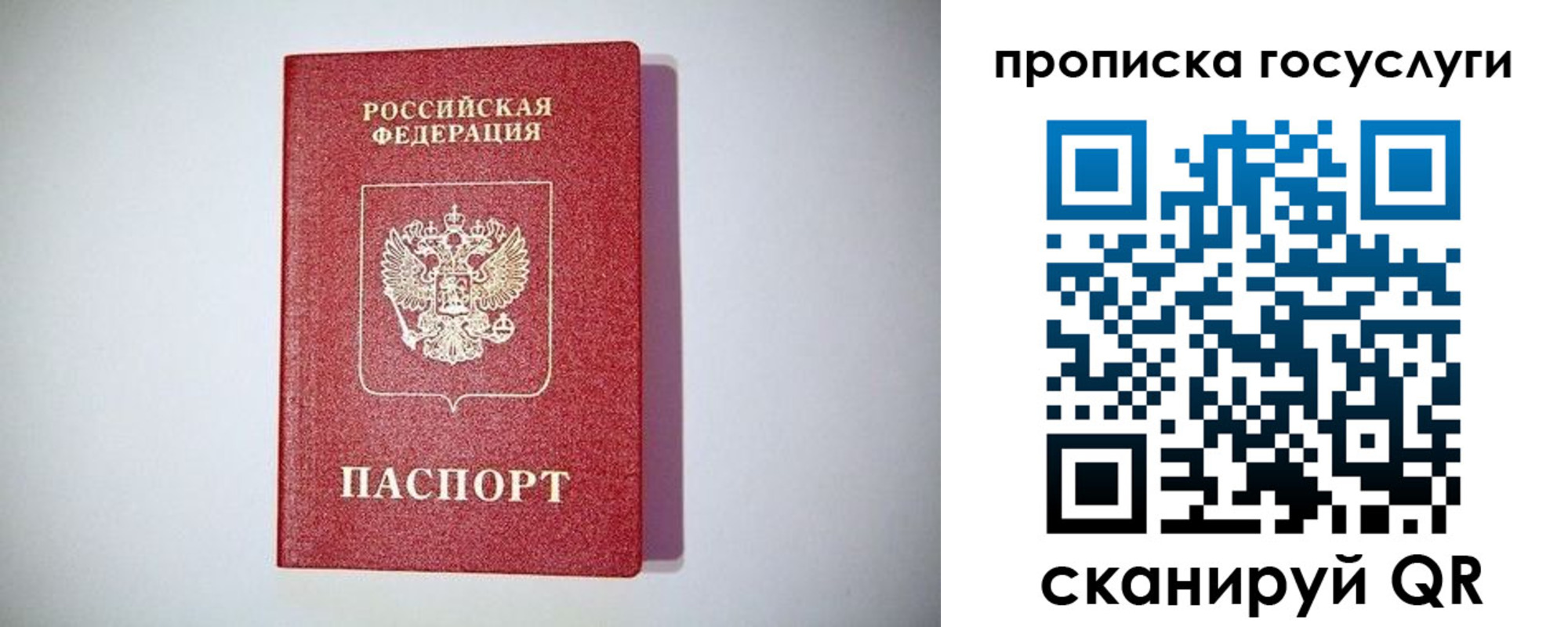 временная регистрация госуслуги в Елизово